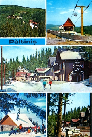 1278 - Paltinis